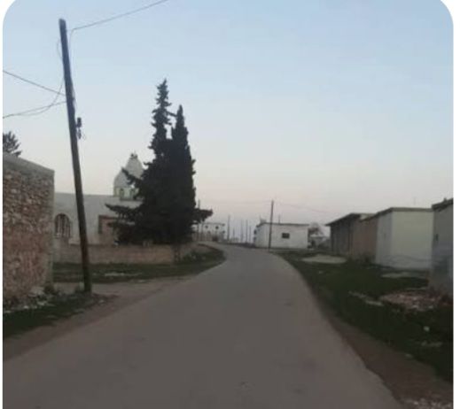 Homes of Kurdish Citizens
